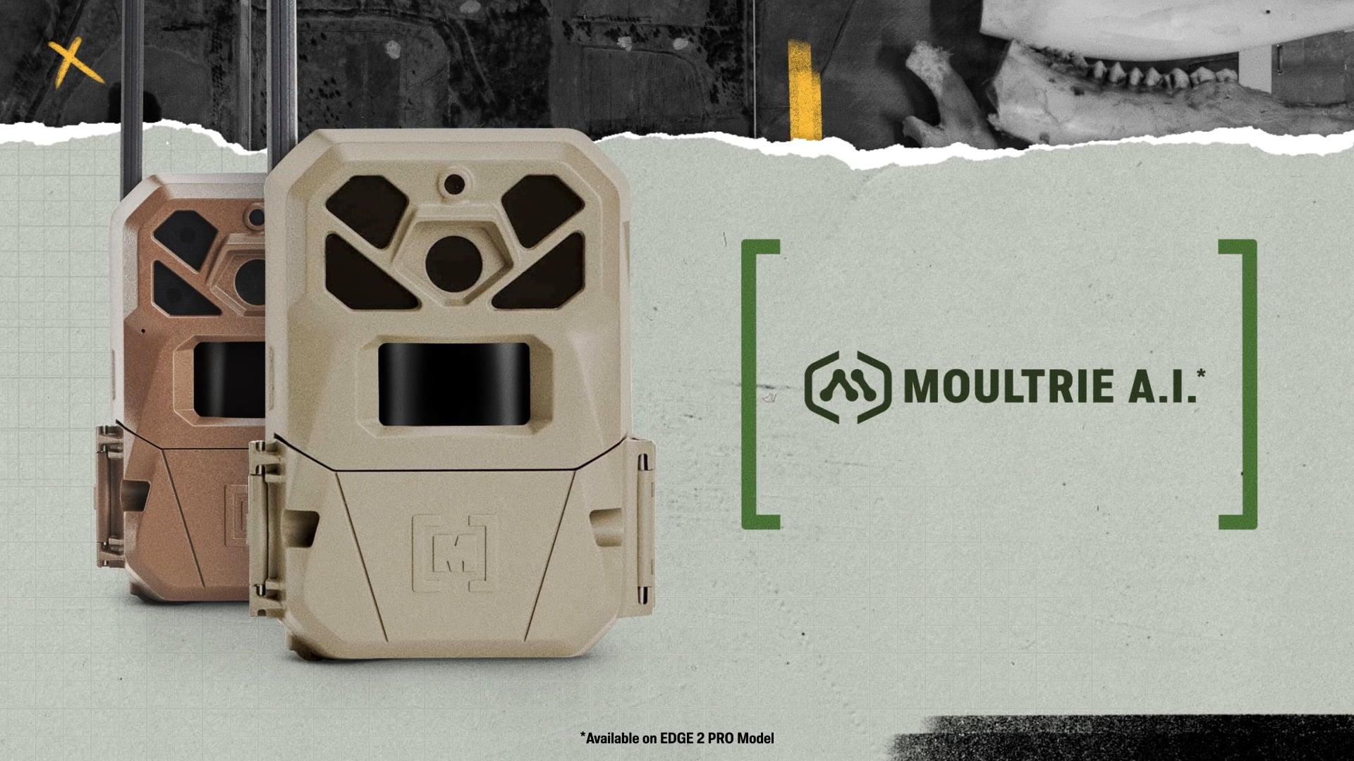 Vimeo Video 1151700337