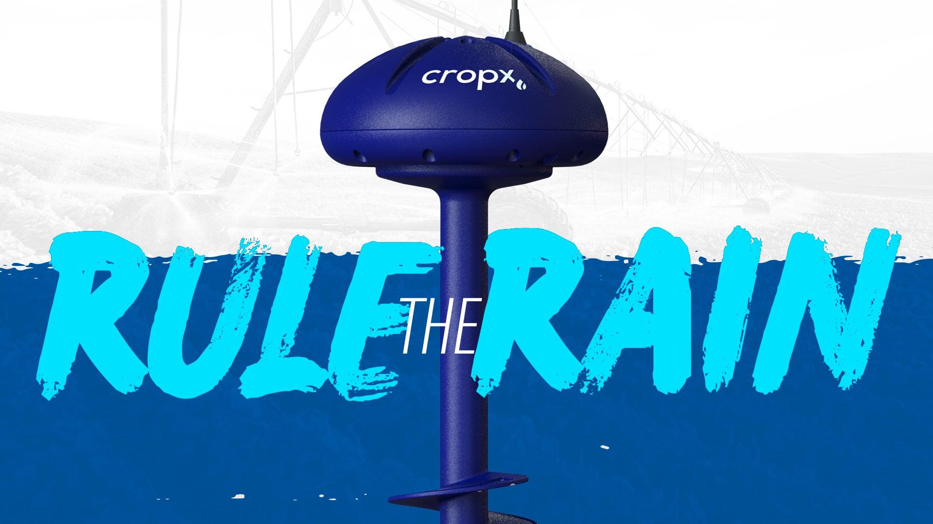 Reinke rule the rain video poster