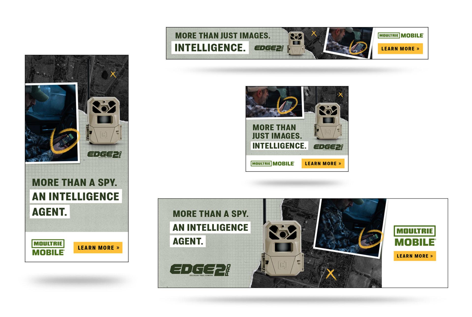 Moultrie Mobile Digital Ads